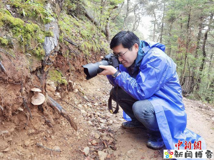 食用菌专家孙达锋:为“云南菌子”固本立标长